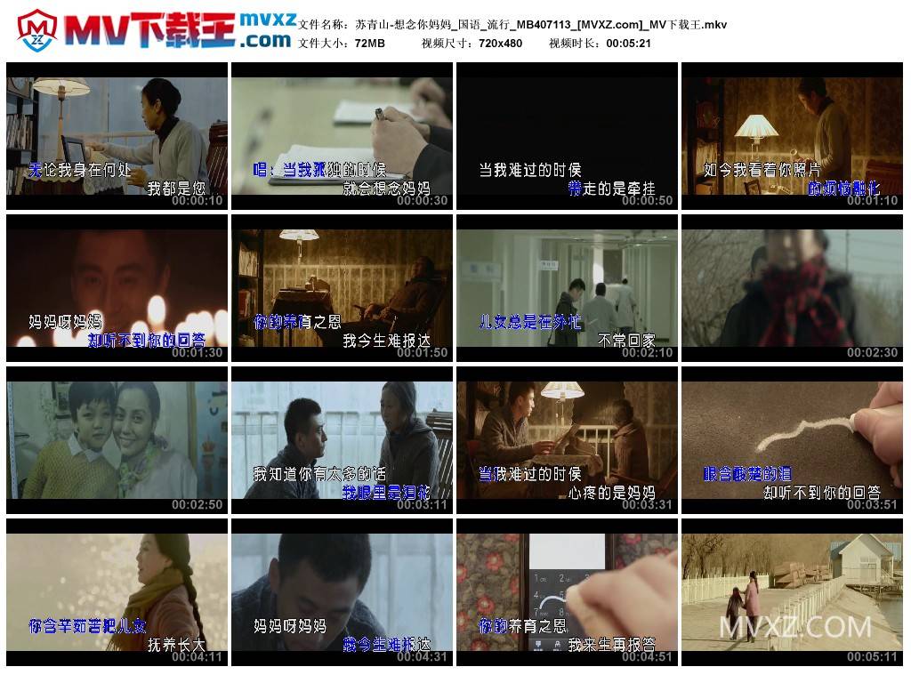 苏青山-想念你妈妈_国语_流行_MB407113